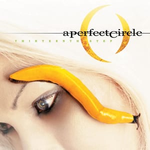 Thirteenth Step by A Perfect Circle, album cover