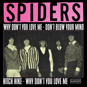 Why Don't You Love Me by Alice Cooper, album cover