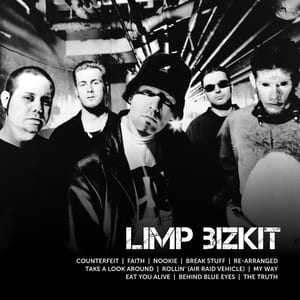 Icon by Limp Bizkit, album cover