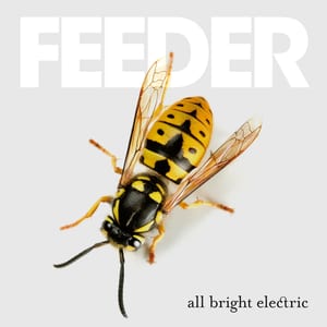 All Bright Electric by Feeder, album cover