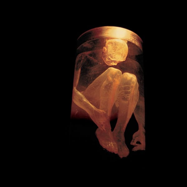 Nothing Safe: The Best of the Box by Alice in Chains, album cover