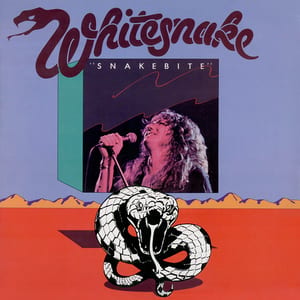 Snakebite by Whitesnake, album cover