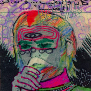 Stray Blues: A Collection of B-Sides by Beck, album cover