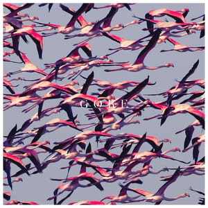 Gore by Deftones, album cover