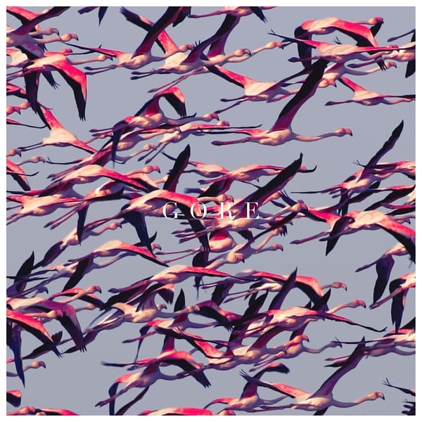 Gore by Deftones, album cover