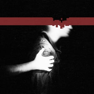 The Slip by Nine Inch Nails, album cover