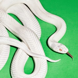 private music by Deftones, album cover