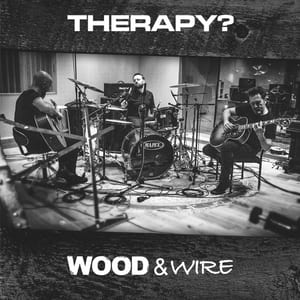 Wood & Wire by Therapy?, album cover