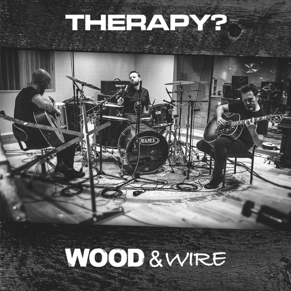Wood & Wire by Therapy?, album cover