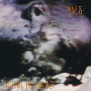 The Land of Rape and Honey by Ministry, album cover