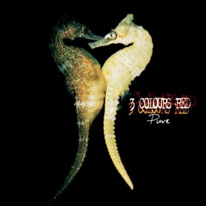 Pure by 3 Colours Red, album cover