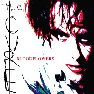 Bloodflowers by The Cure, album cover