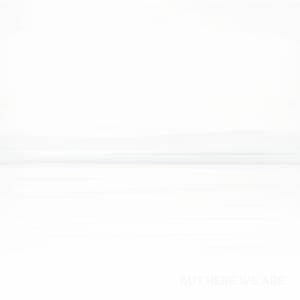 But Here We Are by Foo Fighters, album cover