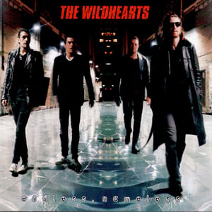 Endless, Nameless by The Wildhearts, album cover