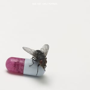 I’m With You by Red Hot Chili Peppers, album cover