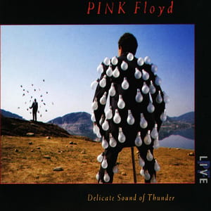 Delicate Sound of Thunder by Pink Floyd, album cover