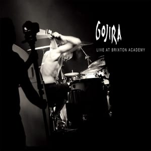 Les Enfants sauvages by Gojira, album cover