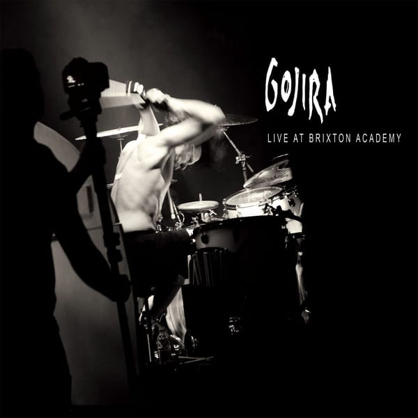 Les Enfants sauvages by Gojira, album cover