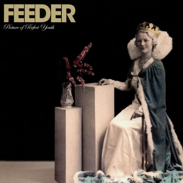 Picture of Perfect Youth by Feeder, album cover