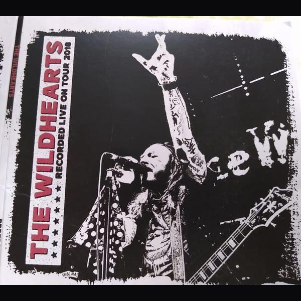 Recorded Live on Tour 2018 by The Wildhearts, album cover